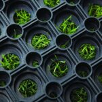 A close-up of a Warrior Rubber Hollow Mat 22MM Thk 100CM Width 150CM Length Black with grass growing in it.